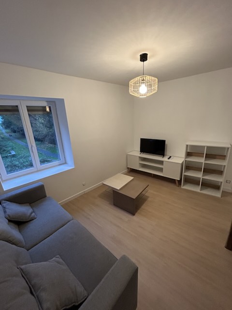 Appartement 1 (duplex) – duplex meublé avec mezzanine à Bazeilles – photo 8
